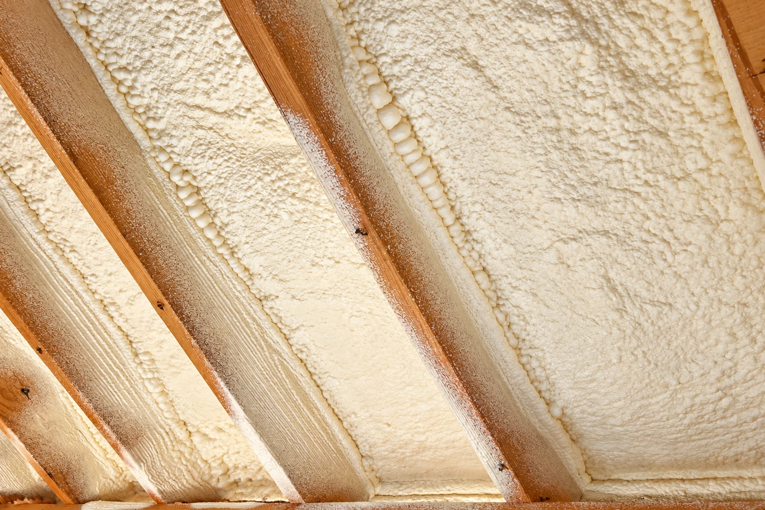 Cream-colored spray foam fills the spaces between exposed wooden roof rafters.
